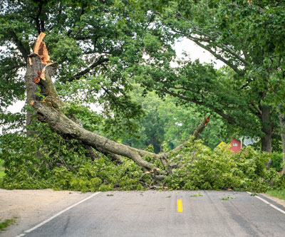 storm-debris-removal-Baldwin-County-Alabama